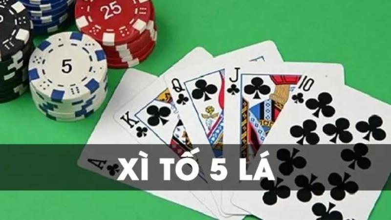 Xì tố 5 lá là gì?